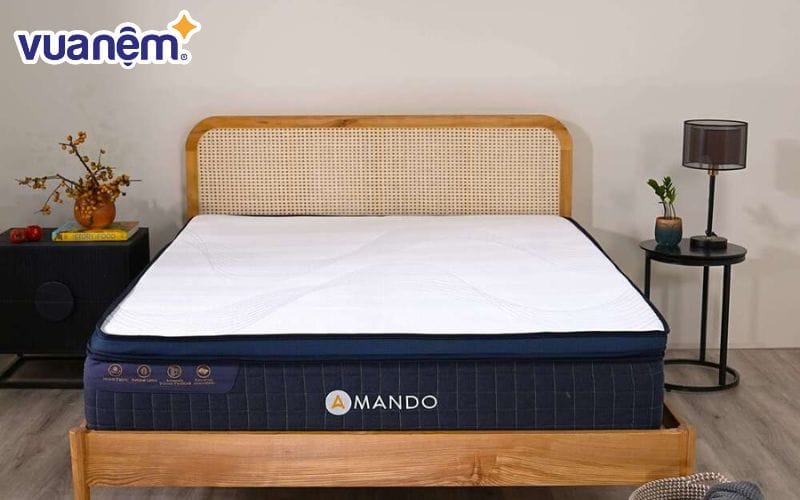 Với sự kết hợp ưu việt của công nghệ tiên tiến, khung lò xo linh hoạt và chất liệu cao cấp, nệm Amando Innovation mang đến trải nghiệm ngủ tối ưu
