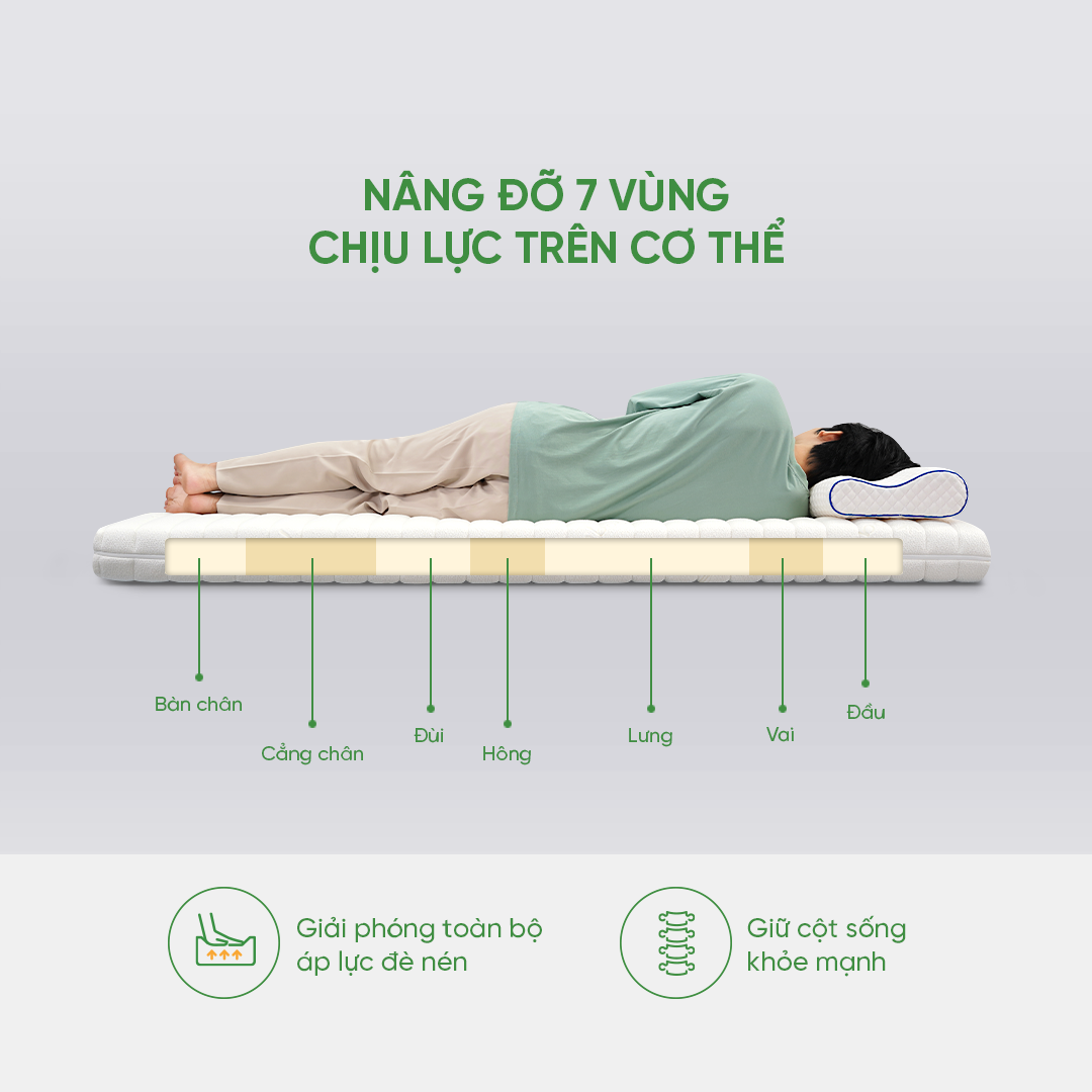 Gummi 7zones 160 x 200 nâng đỡ 7 vùng cơ thể