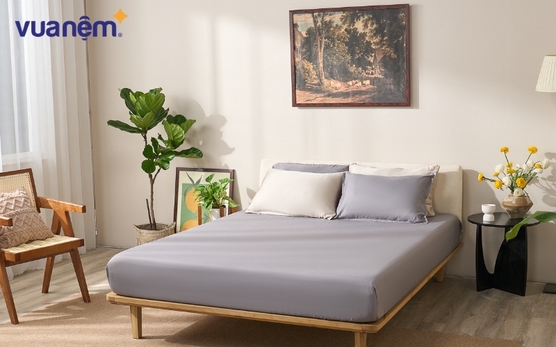 Bộ ga chun nâng cao tính thẩm mỹ cho phòng ngủ