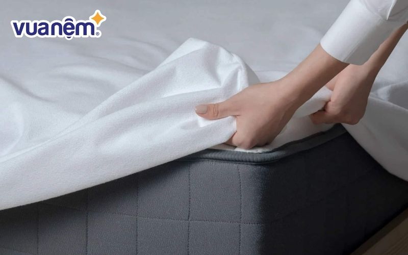 Các bước làm sạch đệm cao su 1m4 x 2m