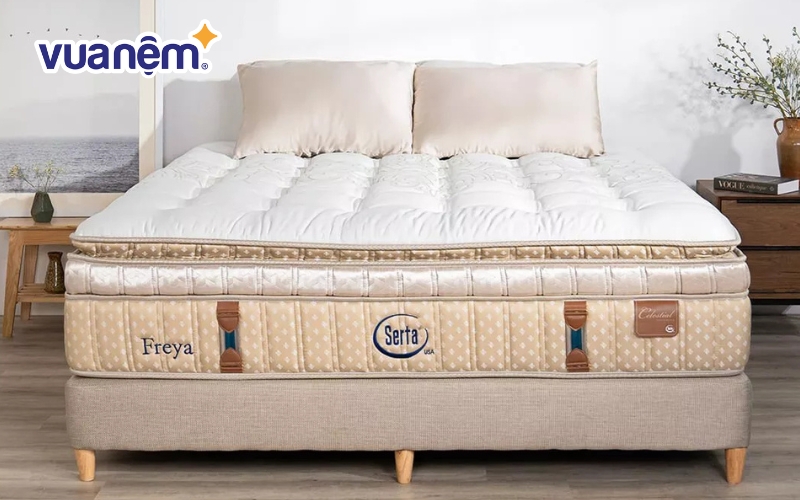 Serta là hãng nệm cao cấp đến từ Mỹ