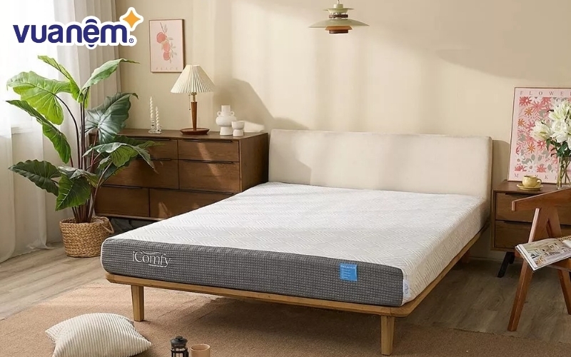  Nệm Foam iComfy Coolax Plus