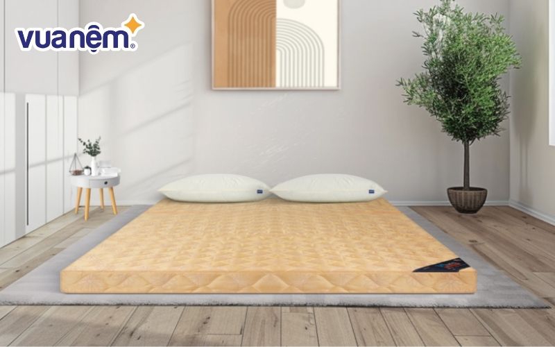 Nệm bông ép MLIVING