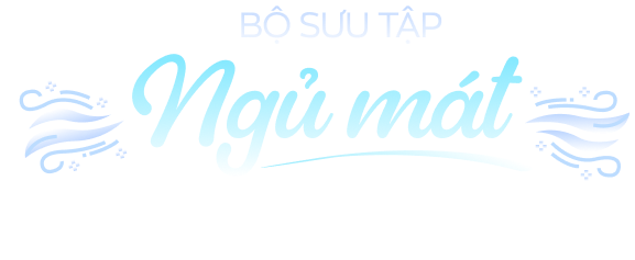 Tặng free gối tựa cổ cao cấp 300k