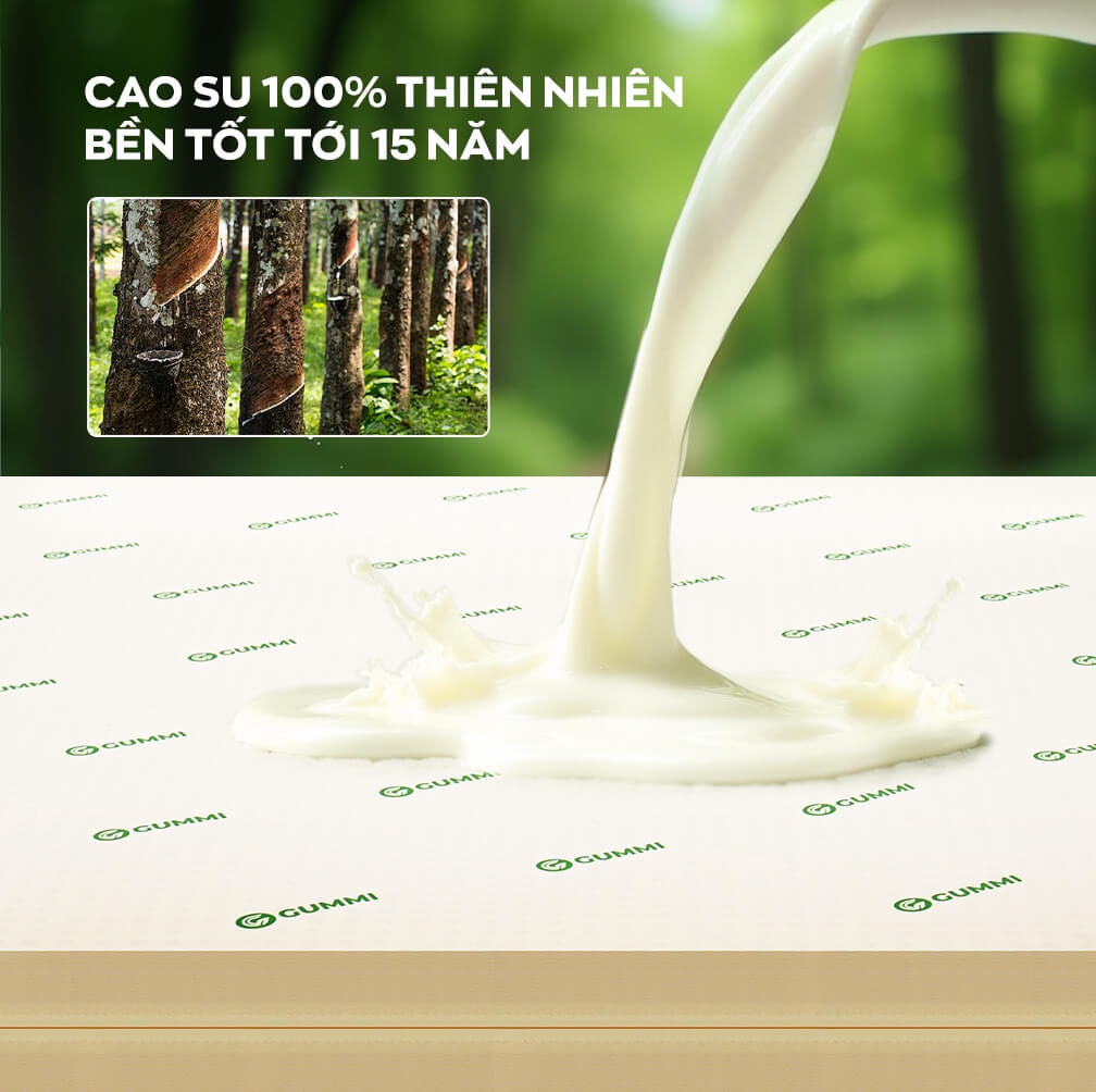 Gummi - Thương hiệu nệm cao su thế hệ mới do Vua Nệm phát triển