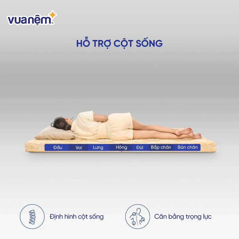 Nệm bông ép Wonjun Pure Carbon