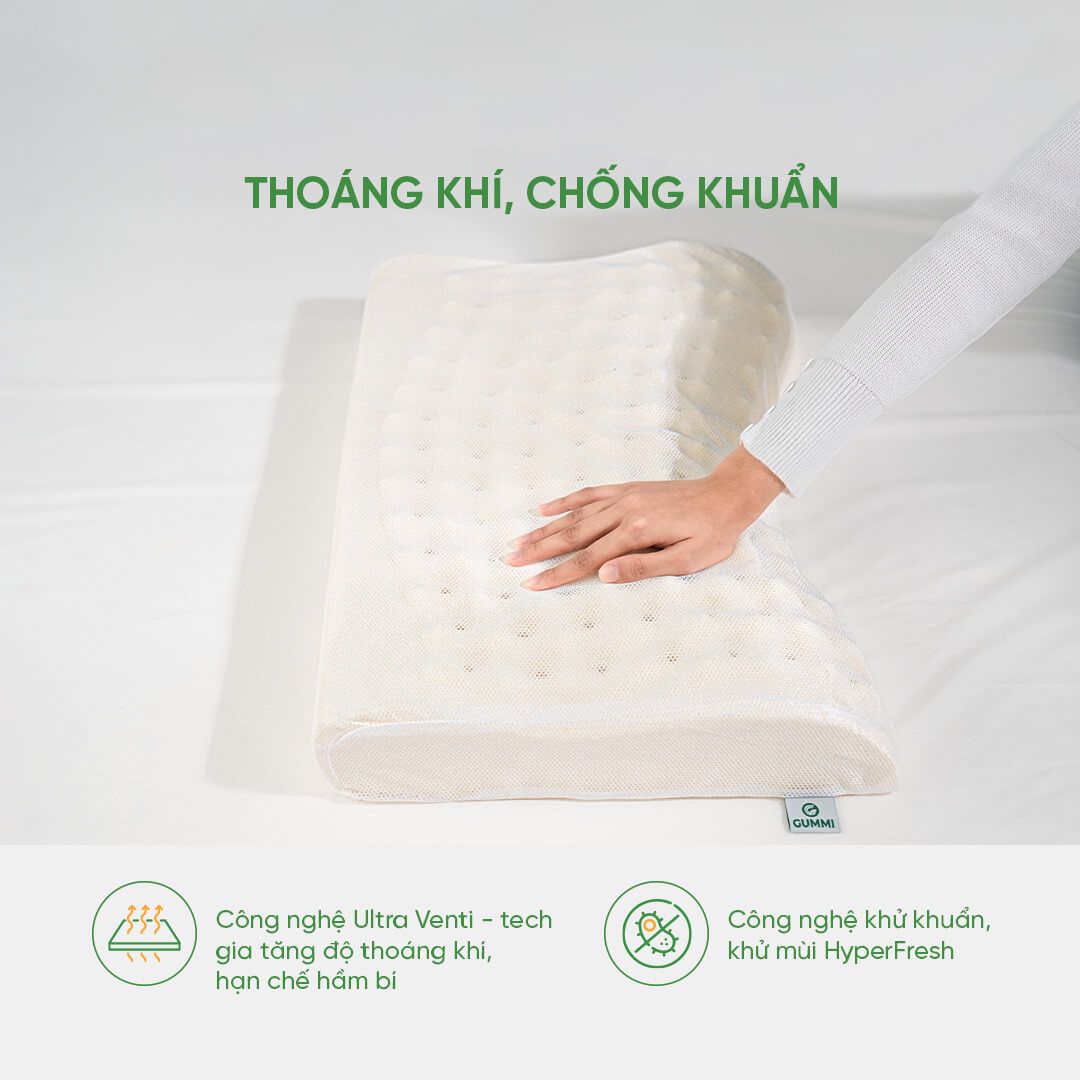 Gối cao su Gummi Oren