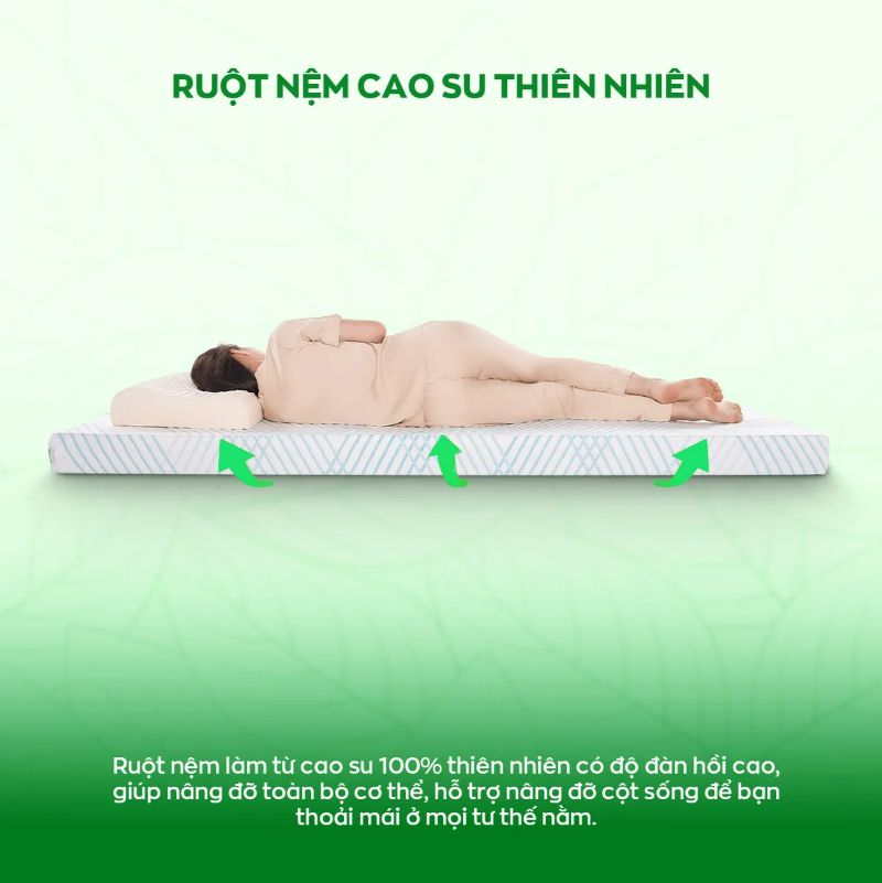 Nệm Gummi Signature