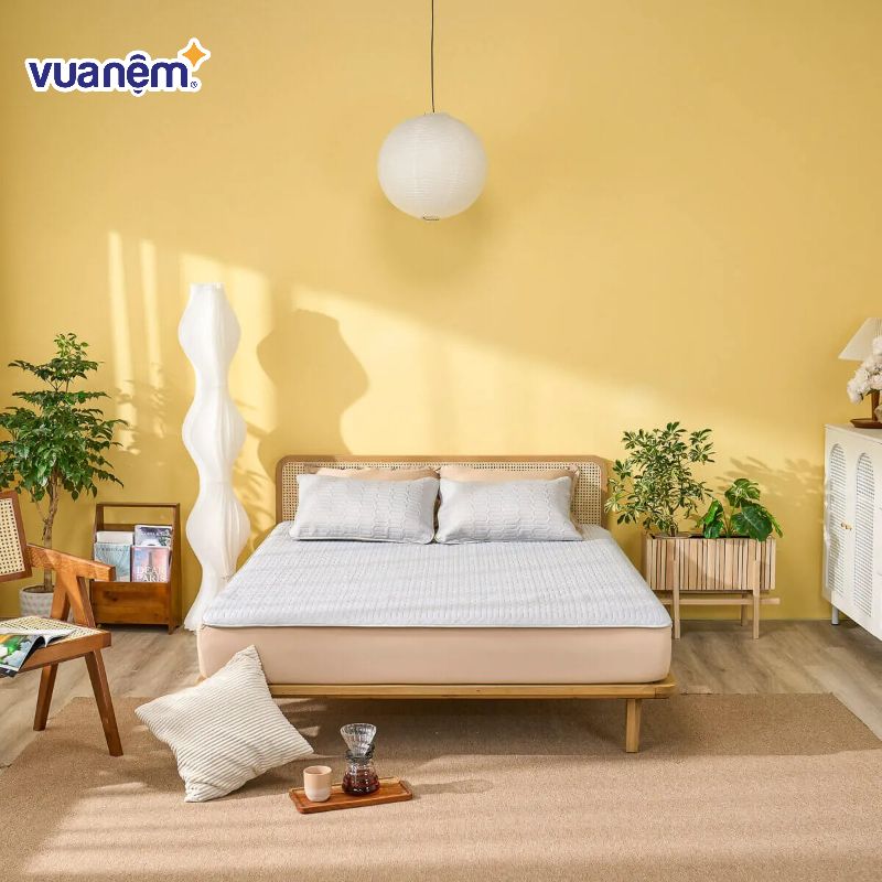 Chiếu điều hòa cao su Doona Aqua