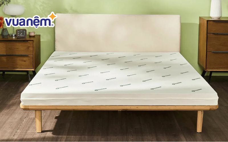 Thương hiệu nệm cao su Gummi