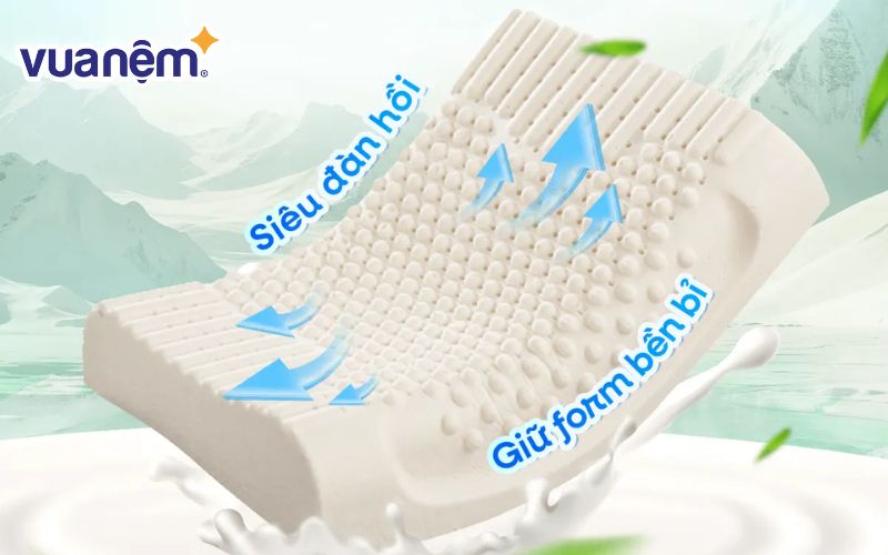 Vì sao nên đầu tư gối cao su?