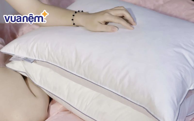 Gối lông vũ Giang Sơn Down