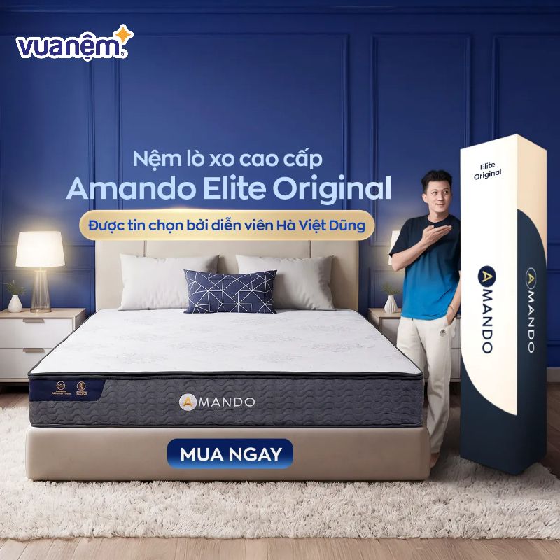 Nệm foam nâng đỡ 5 vùng Comfy Lux 1.0