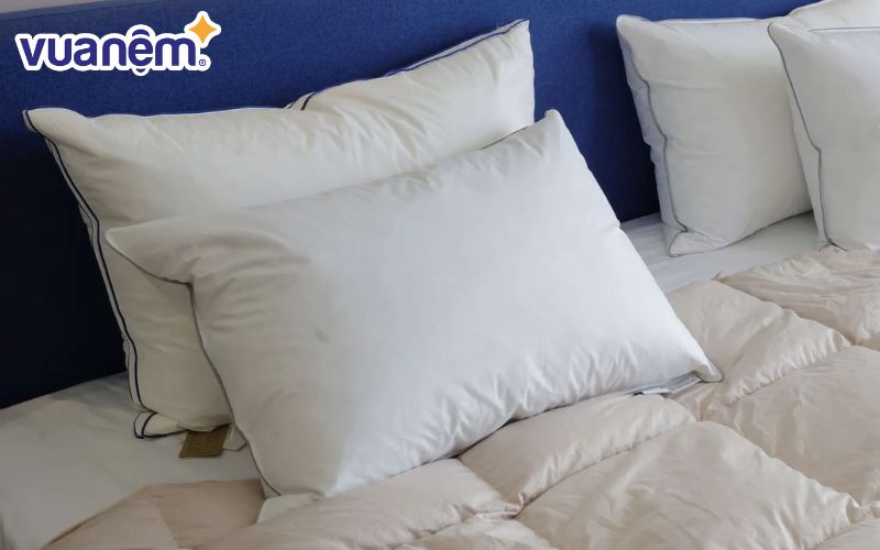 Gối lông vũ là loại gối có phần ruột được làm từ lông tự nhiên của các loài thủy cầm