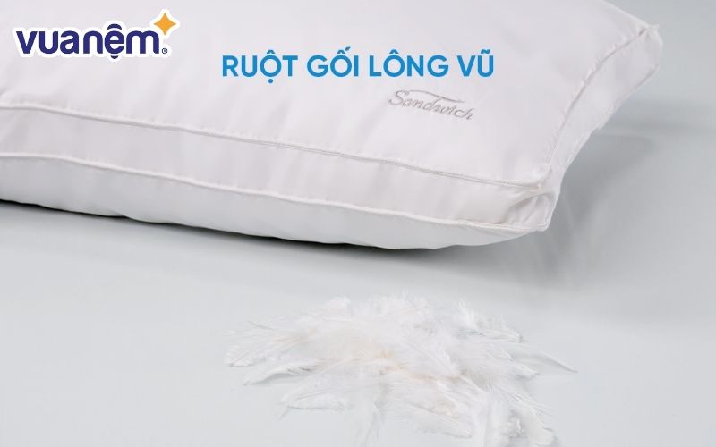 Bên trong ruột gối lông vũ tự nhiên