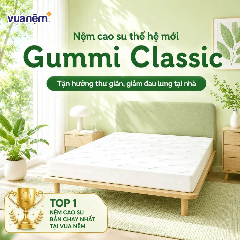 Nệm Gummi