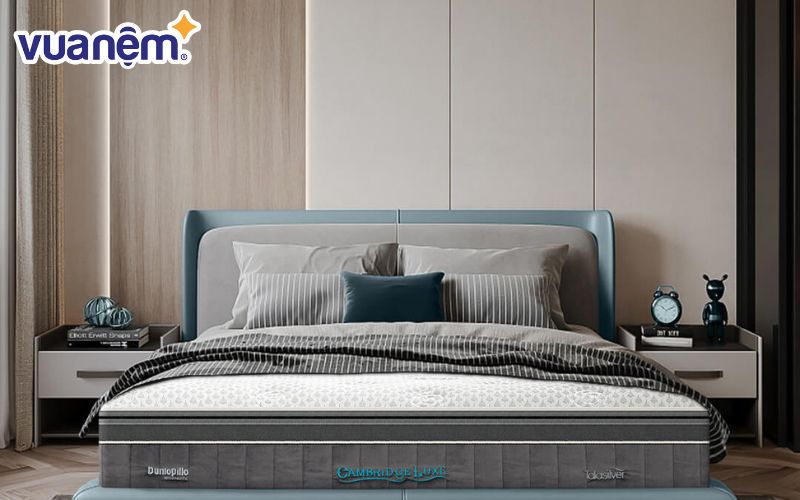 Thương hiệu Dunlopillo