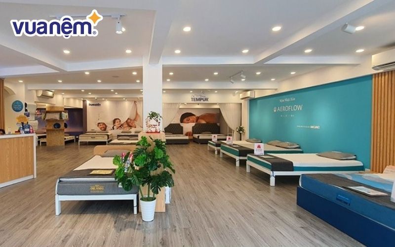 Mua nệm êm mát giá tốt với nhiều ưu đãi tại Vua Nệm