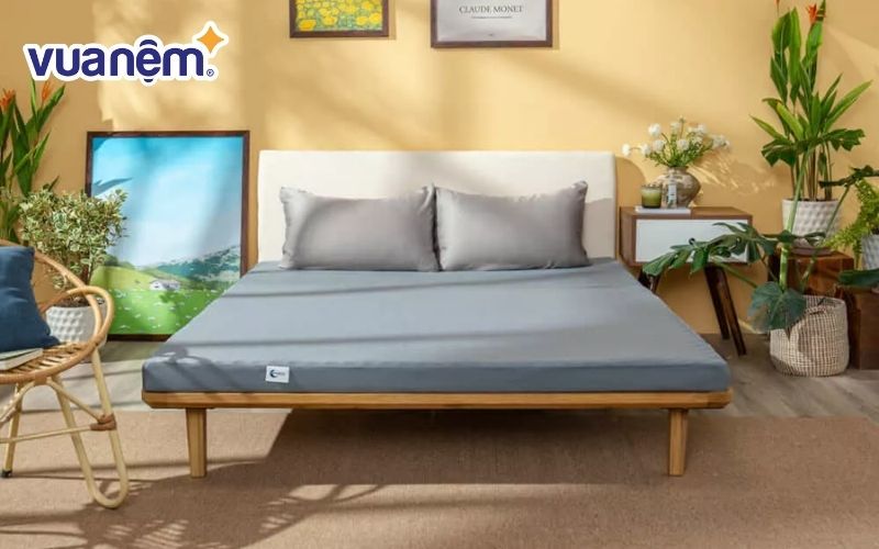Nệm foam Goodnight Osaka
