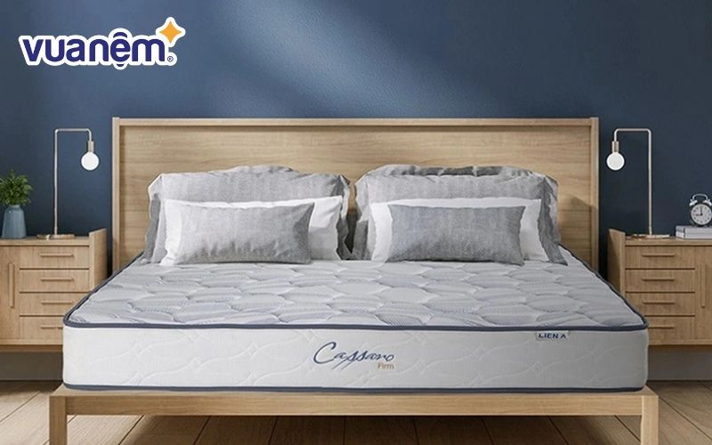 Liên Á sở hữu nhiều dòng nệm khác nhau phục vụ đa dạng nhu cầu