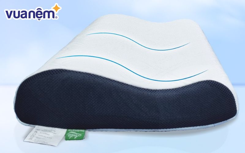 Gối công thái học Anita Icool