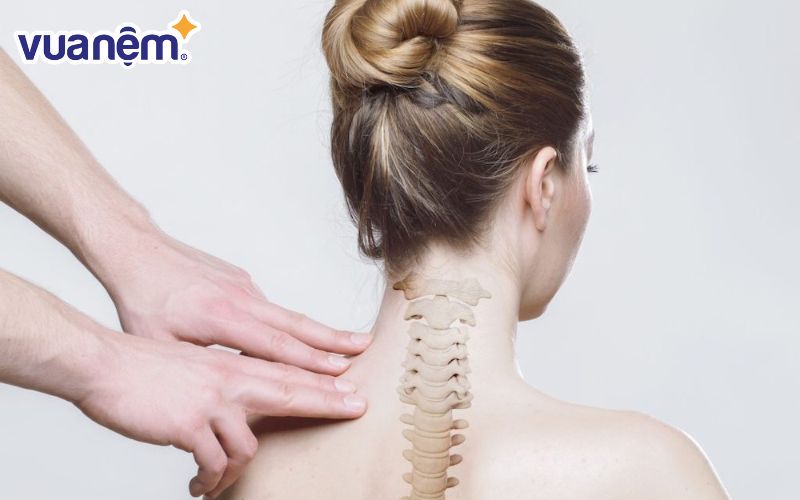 Tìm hiểu về cột sống có chức năng gì?