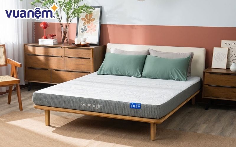 Dòng nệm foam Goodnight Hachi