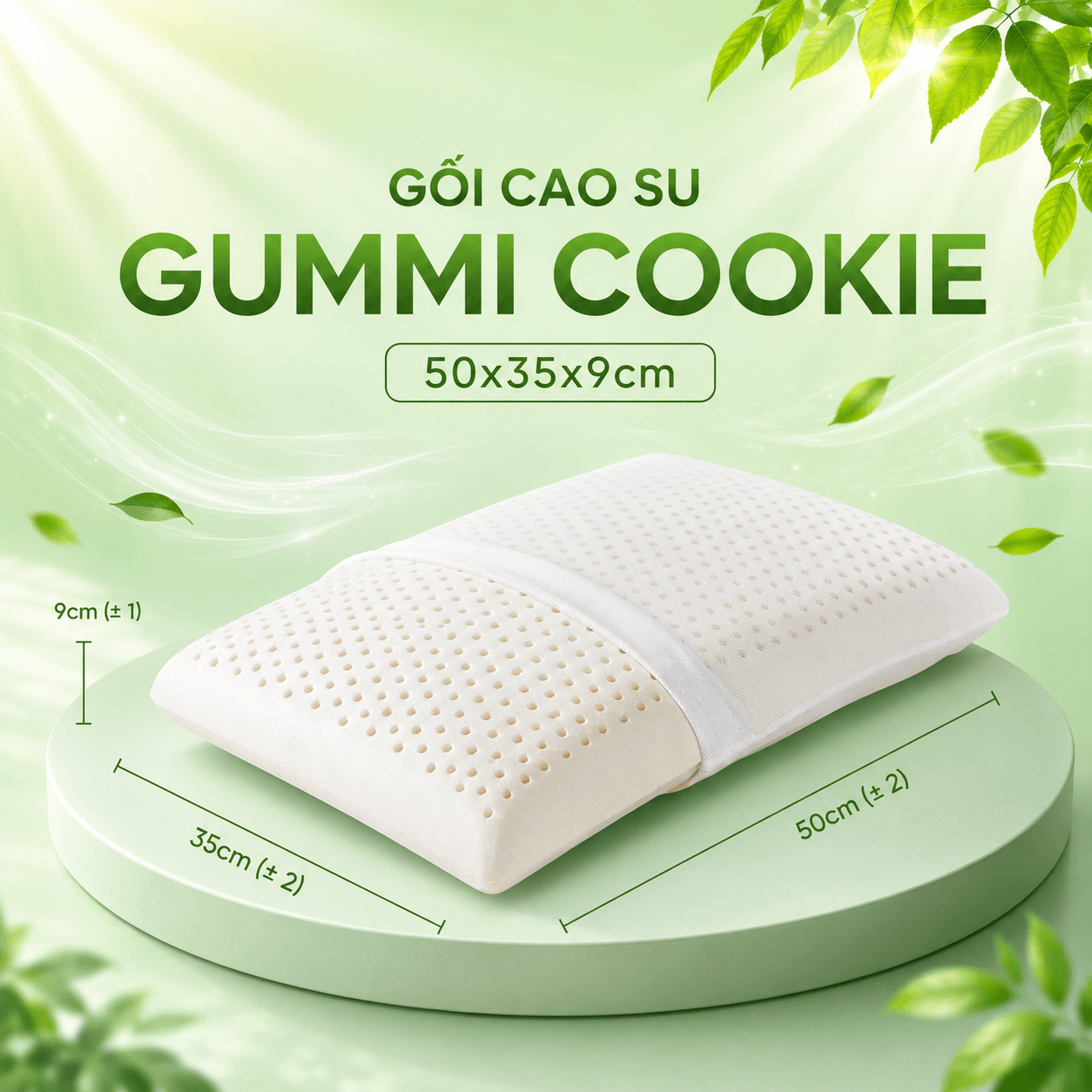 Gối cao su Gummi Cookie