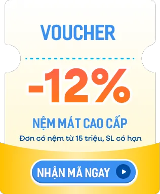 Voucher -12% cho đơn nệm