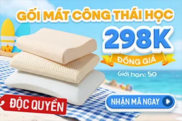 Gối mát công thái học 298K