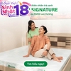 Nệm Gummi Signature – Công nghệ kép, nâng đỡ vượt trội, kháng khuẩn tối đa