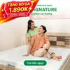 Nệm Gummi Signature – Công nghệ kép, nâng đỡ vượt trội, kháng khuẩn tối đa