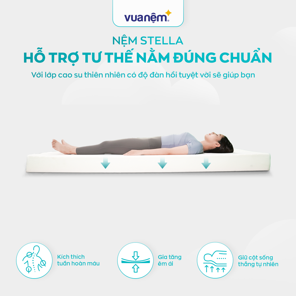 nệm cao su đa tầng kim cương stella đàn hồi cao, thoáng khí, bảo vệ cột sống