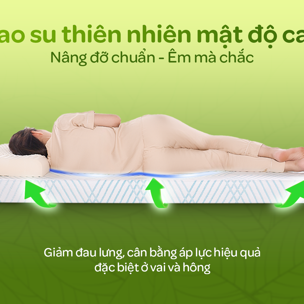 Nâng đỡ cơ thể chuẩn chỉnh – Êm mà vẫn chắc!