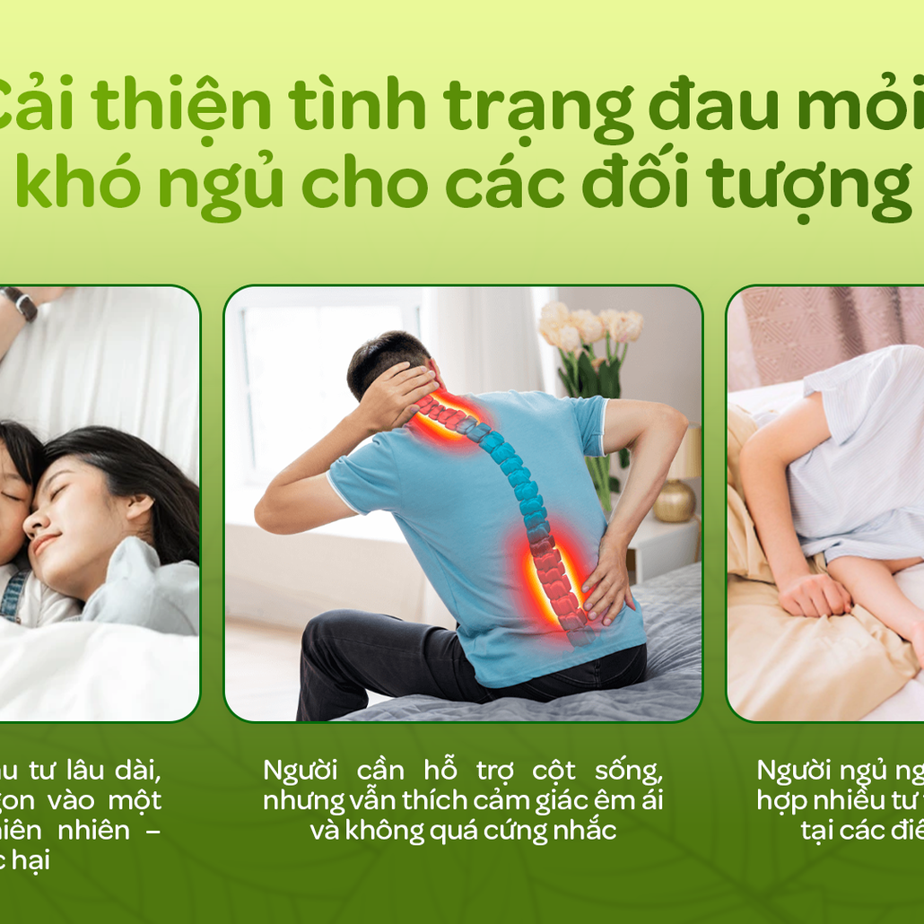 Ai nên chọn nệm Gummi Signature
