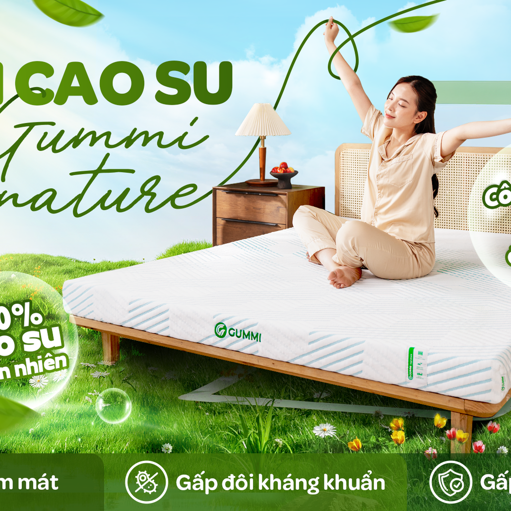 nệm cao su 100% thiên nhiên tinh chất trà xanh làm mát gummi signature