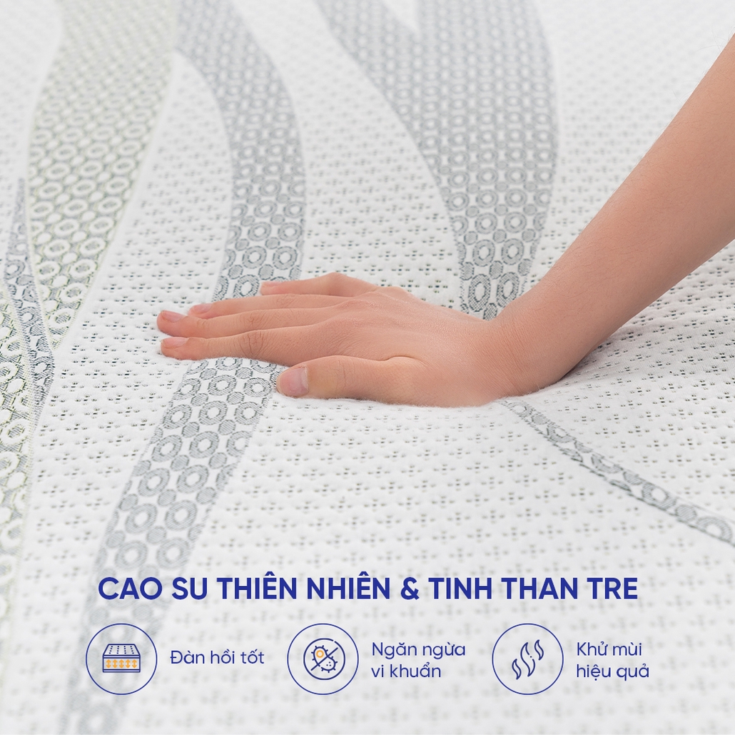 Nệm cao su than tre Gummi Premium kháng khuẩn, thoáng khí