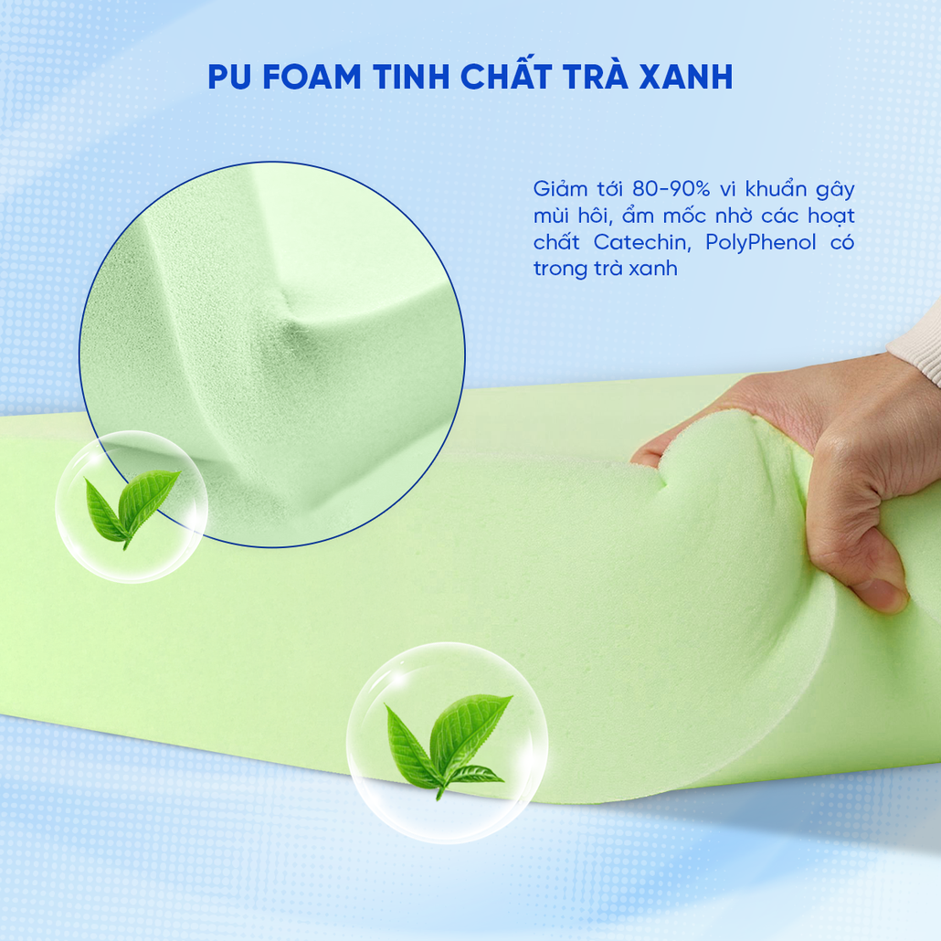Tinh chất trà xanh kháng khuẩn, ngăn mùi ẩm mốc