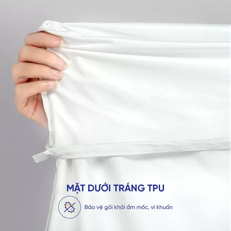 Chống thấm hiệu quả, tiện lợi và chắc chắn