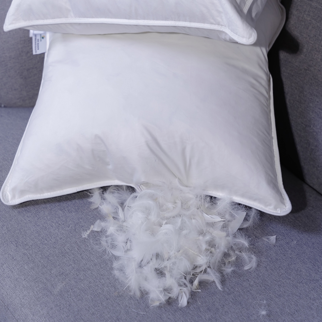 Gối lông vũ Giang Sơn Down