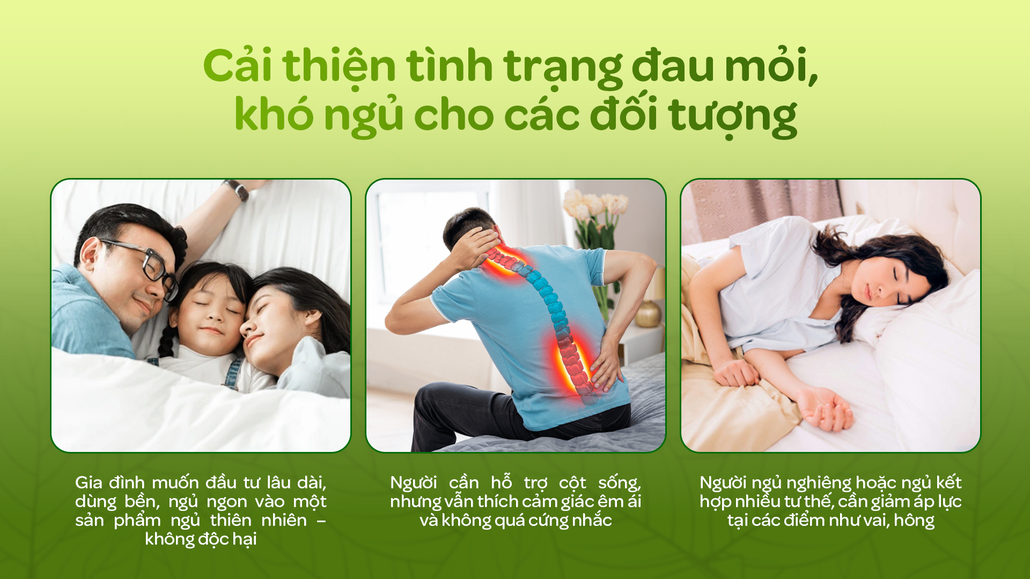 Ai nên chọn nệm Gummi Signature
