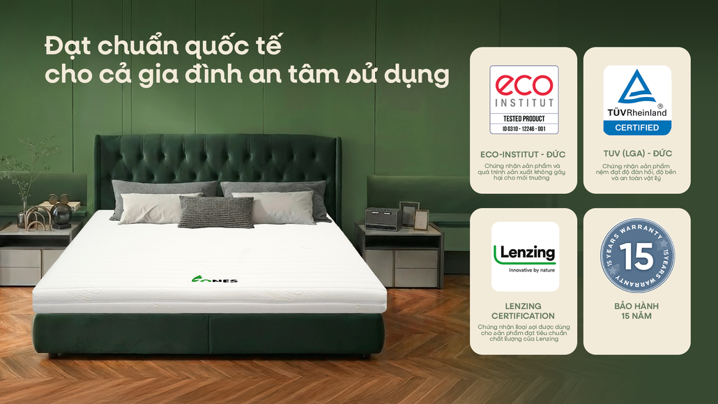 Chứng nhận quốc tế nệm Gummi 7Zones