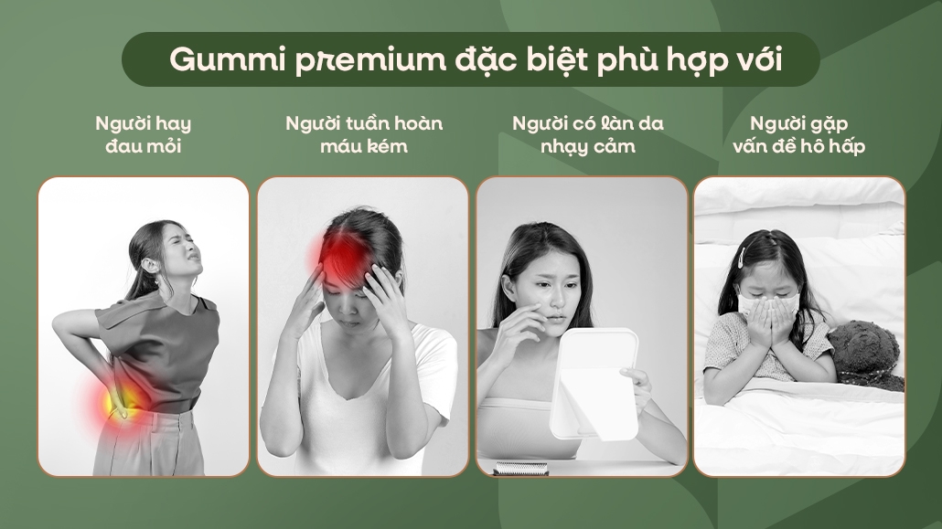 Nệm Gummi Premium - Kháng khuẩn toàn diện