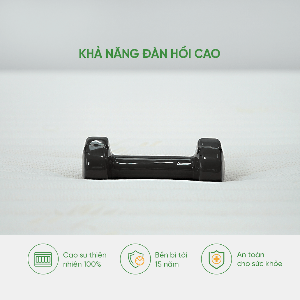 nệm cao su thiên nhiên nhập khẩu thoáng khí kép gummi 7 zones nâng đỡ 7 vùng, đàn hồi cao