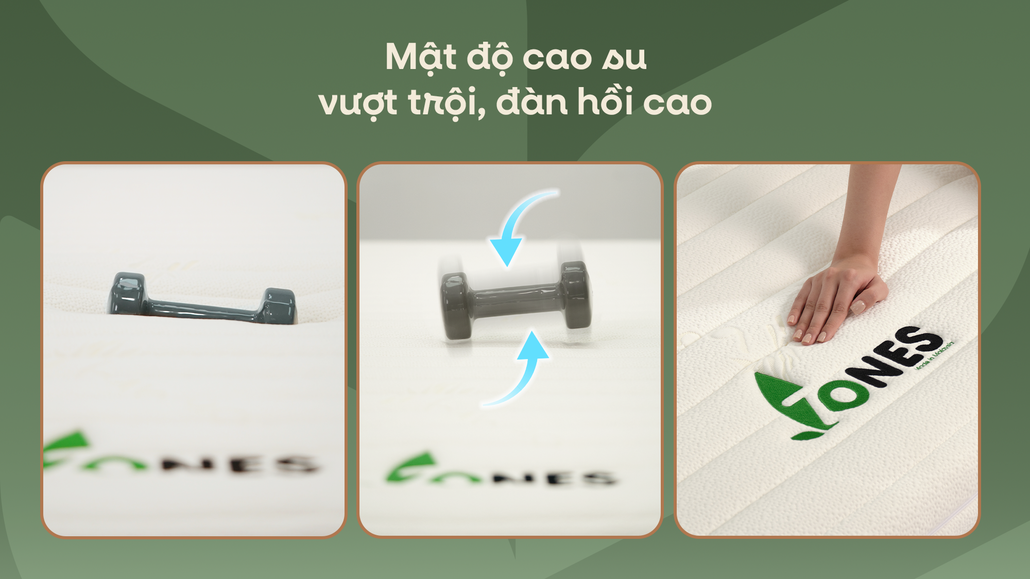 Cao su thiên nhiên Gummi 7Zones