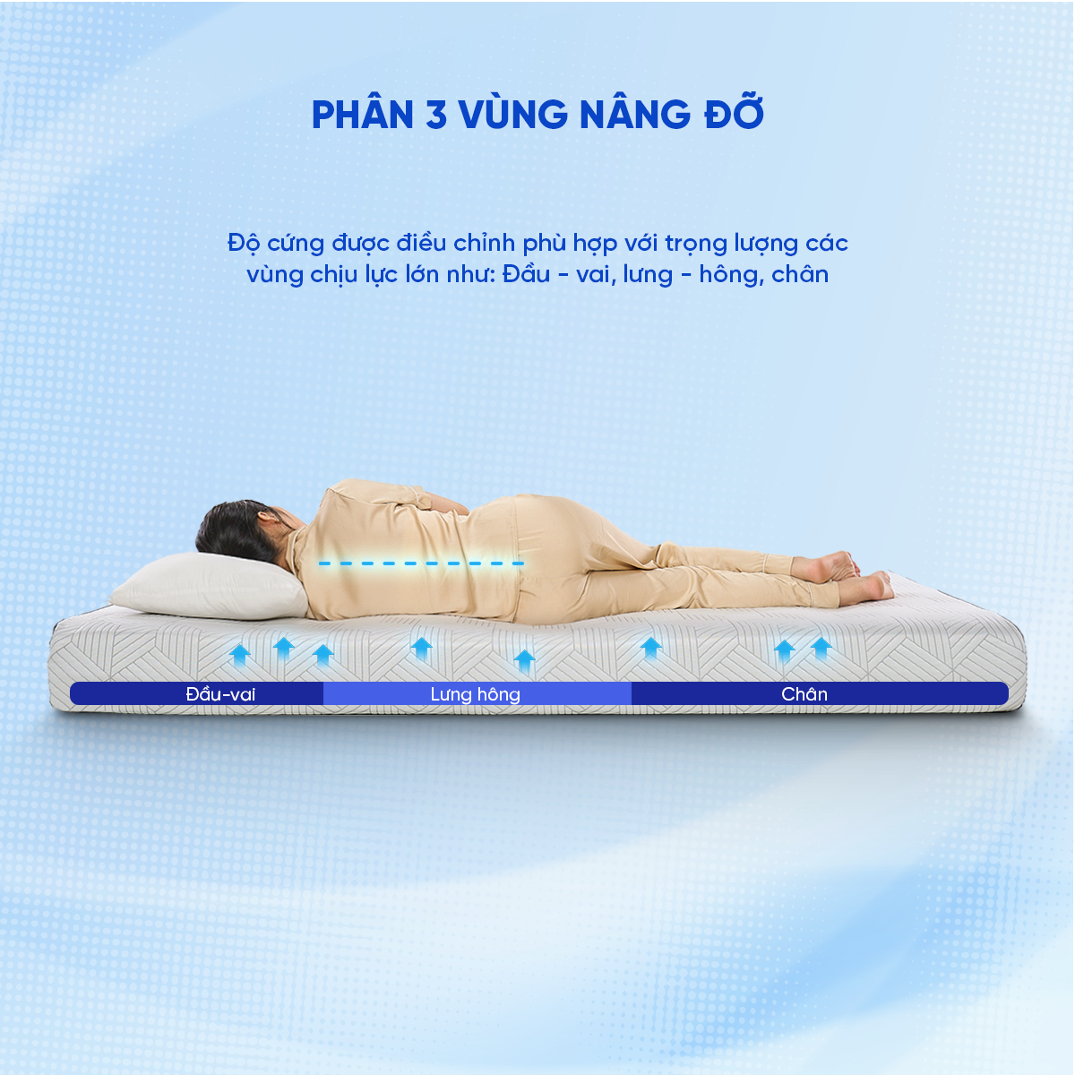 Công nghệ phân 3 vùng chăm sóc chuyên biệt