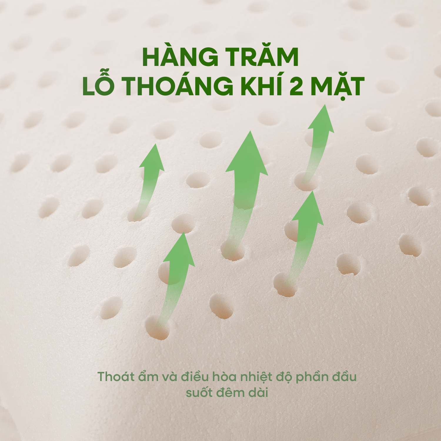 Gối cao su Gummi Ovalux