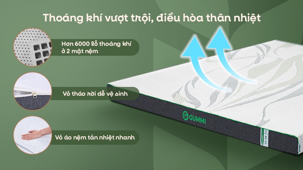 Nệm Gummi Premium thoáng khí vượt trội