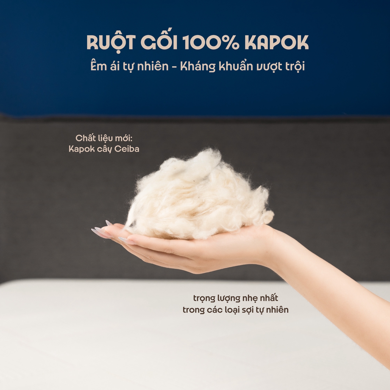 Gối Kapok Premium sợi Kapok tự nhiên nhập khẩu