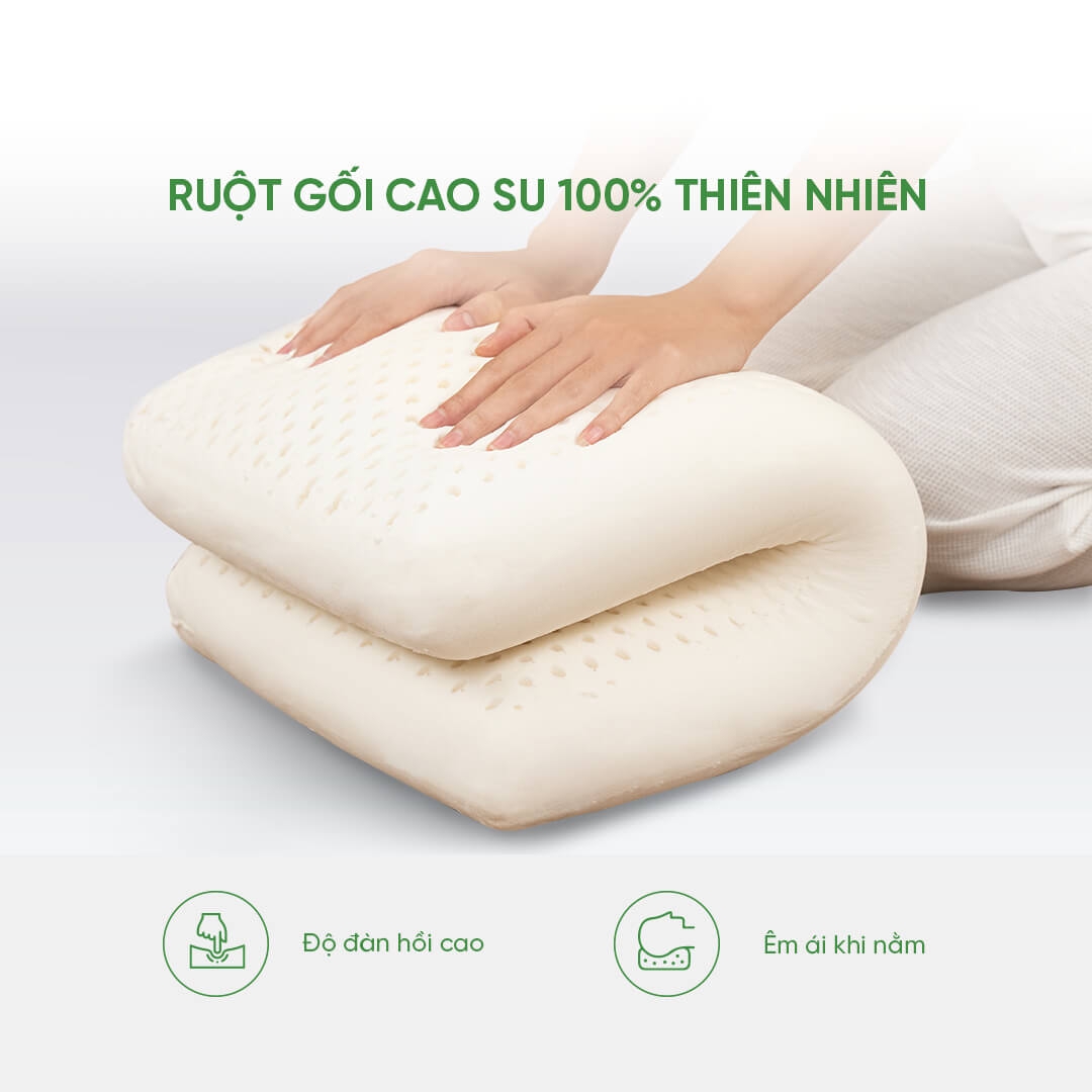 Gối cao su 100% thiên nhiên thoáng khí Gummi Standard